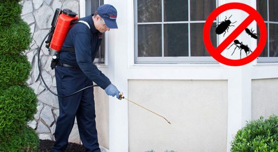 Evka 1 Böcek İlaçlama böcek ilaçlama ve haşere kontrolü — ilaclama-tr.com